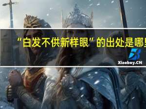 “白发不供新样眼”的出处是哪里