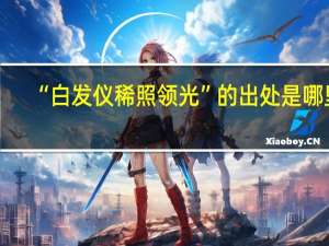“白发仪稀照领光”的出处是哪里