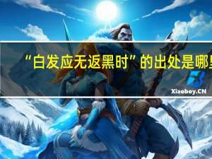 “白发应无返黑时”的出处是哪里