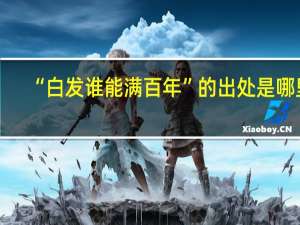 “白发谁能满百年”的出处是哪里