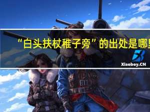 “白头扶杖稚子旁”的出处是哪里