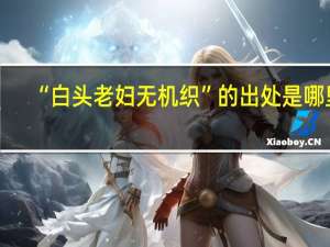 “白头老妇无机织”的出处是哪里