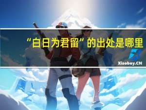 “白日为君留”的出处是哪里