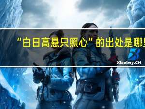 “白日高悬只照心”的出处是哪里