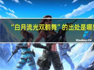 “白月流光双鹤舞”的出处是哪里