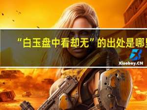 “白玉盘中看却无”的出处是哪里