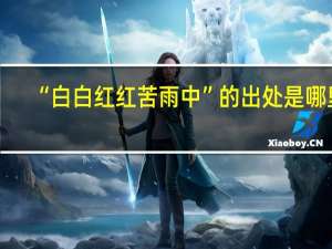 “白白红红苦雨中”的出处是哪里