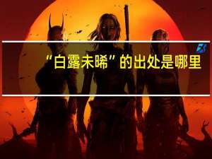 “白露未晞”的出处是哪里