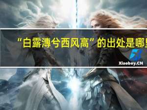 “白露漙兮西风高”的出处是哪里