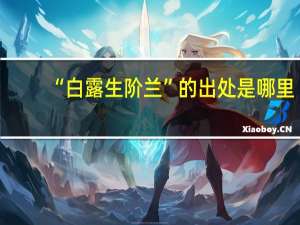 “白露生阶兰”的出处是哪里