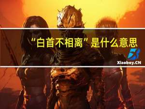 “白首不相离”是什么意思
