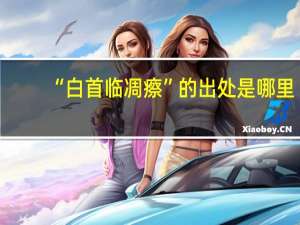 “白首临凋瘵”的出处是哪里