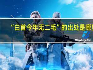 “白首今年无二毛”的出处是哪里