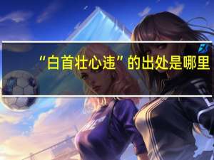 “白首壮心违”的出处是哪里