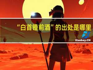 “白首镫前酒”的出处是哪里