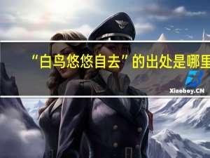 “白鸟悠悠自去”的出处是哪里