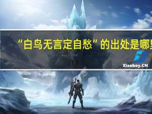 “白鸟无言定自愁”的出处是哪里