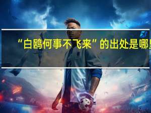 “白鸥何事不飞来”的出处是哪里