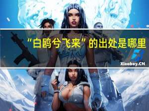 “白鸥兮飞来”的出处是哪里