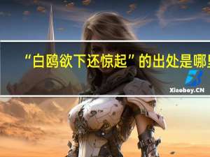 “白鸥欲下还惊起”的出处是哪里