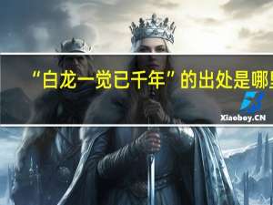 “白龙一觉已千年”的出处是哪里