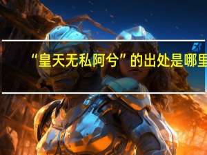 “皇天无私阿兮”的出处是哪里