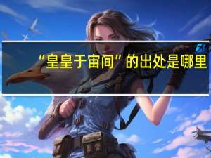 “皇皇于宙间”的出处是哪里