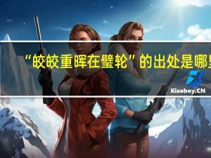 “皎皎重晖在璧轮”的出处是哪里