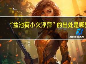 “盆池荷小欠浮萍”的出处是哪里