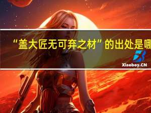 “盖大匠无可弃之材”的出处是哪里