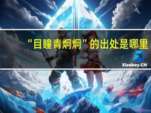“目瞳青炯炯”的出处是哪里