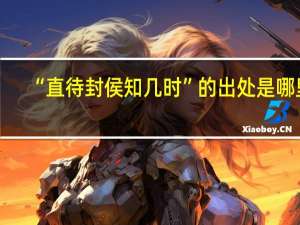 “直待封侯知几时”的出处是哪里