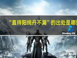 “直待阳纯丹不漏”的出处是哪里