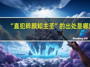 “直犯睟颜知主圣”的出处是哪里