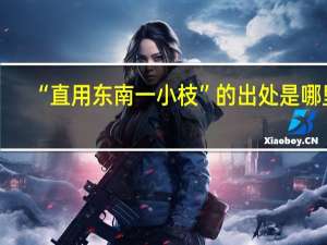 “直用东南一小枝”的出处是哪里