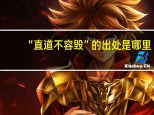 “直道不容毁”的出处是哪里