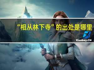 “相从林下寺”的出处是哪里