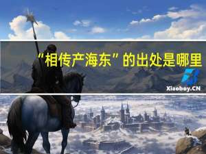 “相传产海东”的出处是哪里