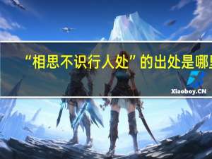 “相思不识行人处”的出处是哪里