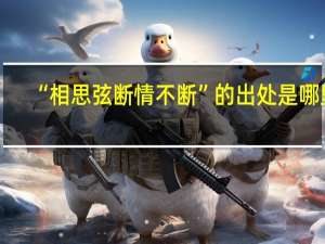 “相思弦断情不断”的出处是哪里