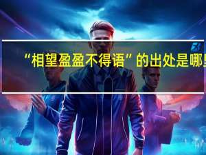 “相望盈盈不得语”的出处是哪里