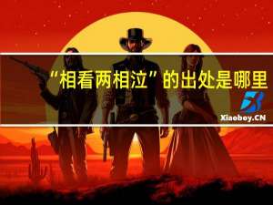 “相看两相泣”的出处是哪里