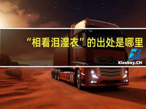 “相看泪湿衣”的出处是哪里