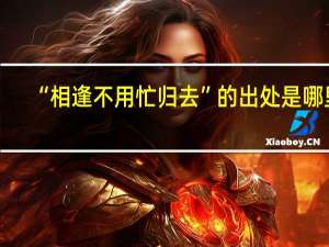 “相逢不用忙归去”的出处是哪里