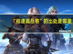 “相逢嵩岳客”的出处是哪里