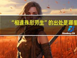 “相逢殊慰劳生”的出处是哪里