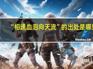 “相逢血泪向天流”的出处是哪里