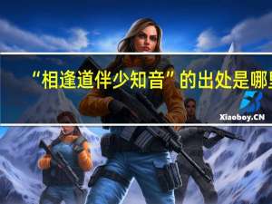 “相逢道伴少知音”的出处是哪里