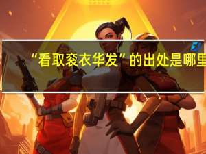 “看取衮衣华发”的出处是哪里