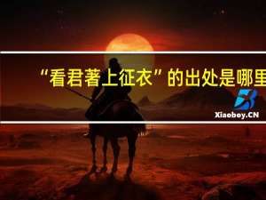 “看君著上征衣”的出处是哪里